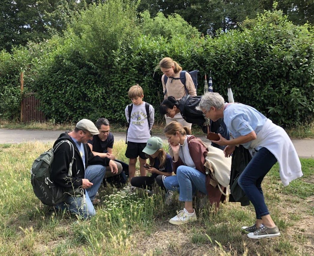 Teamausflug mit Wildbienensafari